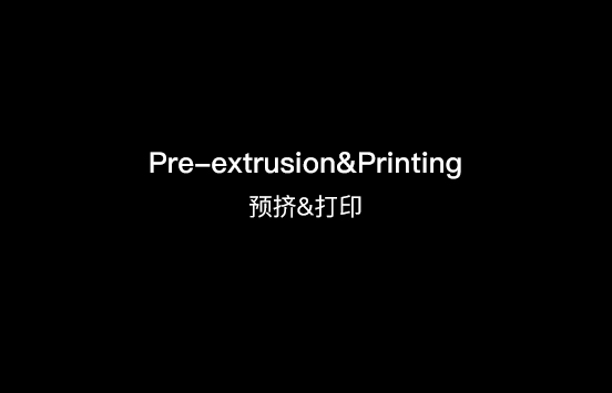 Pre-extrusion&Printing